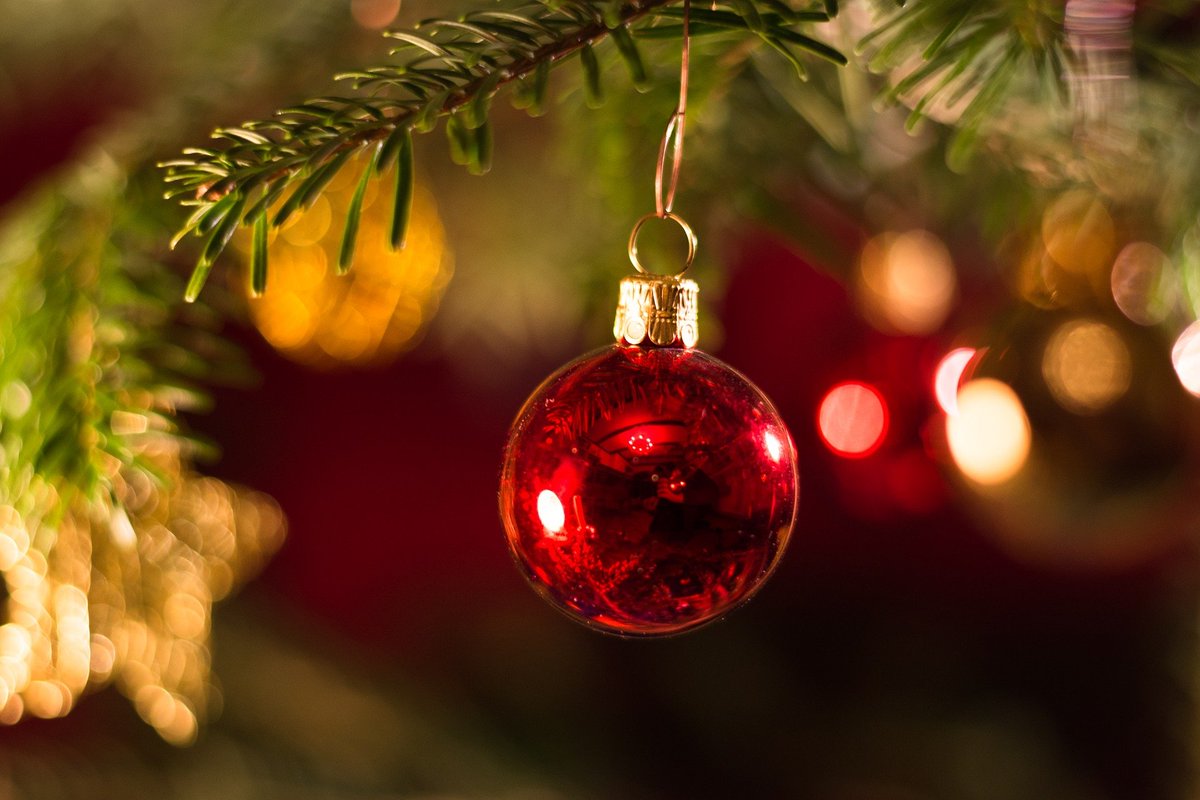 Norfolk Libraries - Norfolk County Council (@norfolklibs) on Twitter photo Less than two weeks to go and we just want to remind you that are libraries will be closing at midday on Christmas Eve, so make sure you pop in before then for those last minute Christmas reads🤩
You can check the opening hours of your local library here norfolk.gov.uk/branchlibraries Less than two weeks to go and we just want to remind you that are libraries will be closing at midday on Christmas Eve, so make sure you pop in before then for those last minute Christmas reads🤩
You can check the opening hours of your local library here norfolk.gov.uk/branchlibraries