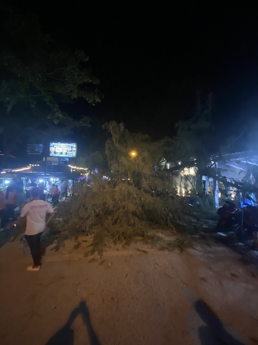 SteveNorthcott. tweet media