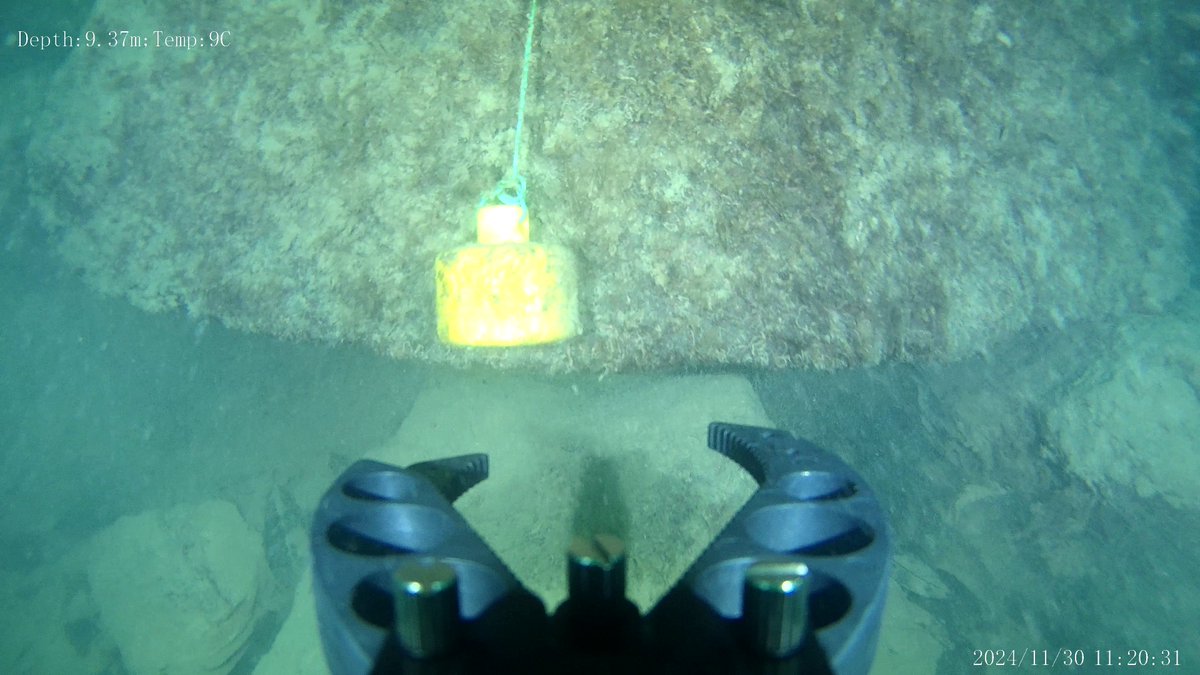 HydroneIRE's tweet photo. HyDrone located and retrieved a temp logger (missing for 3 Years!) using @QyseaFifish ROV! Logger will give useful information of the site👍Thanks to @NPWSIreland  and Pascal Sweeney for reaching out. Go to https://t.co/hqZSCi4xmA to get in touch with @KeenaPhilip for more info https://t.co/SnW9F8zNlR
