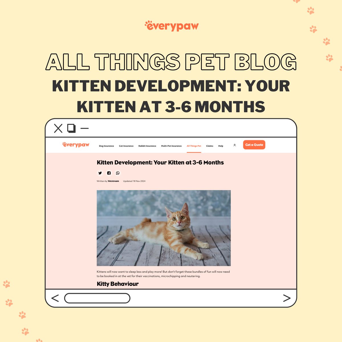 everypawuk's tweet image. 👉 Click the link below to discover everything you need to know about your kitten’s development from 3-6 months:

everypaw.com/all-things-pet…

#KittenDevelopment #GrowingKitten #KittenCare #HealthyKitten #KittenTips #Everypaw #PetInsurance #EverypawUK #EverypawPetInsurance