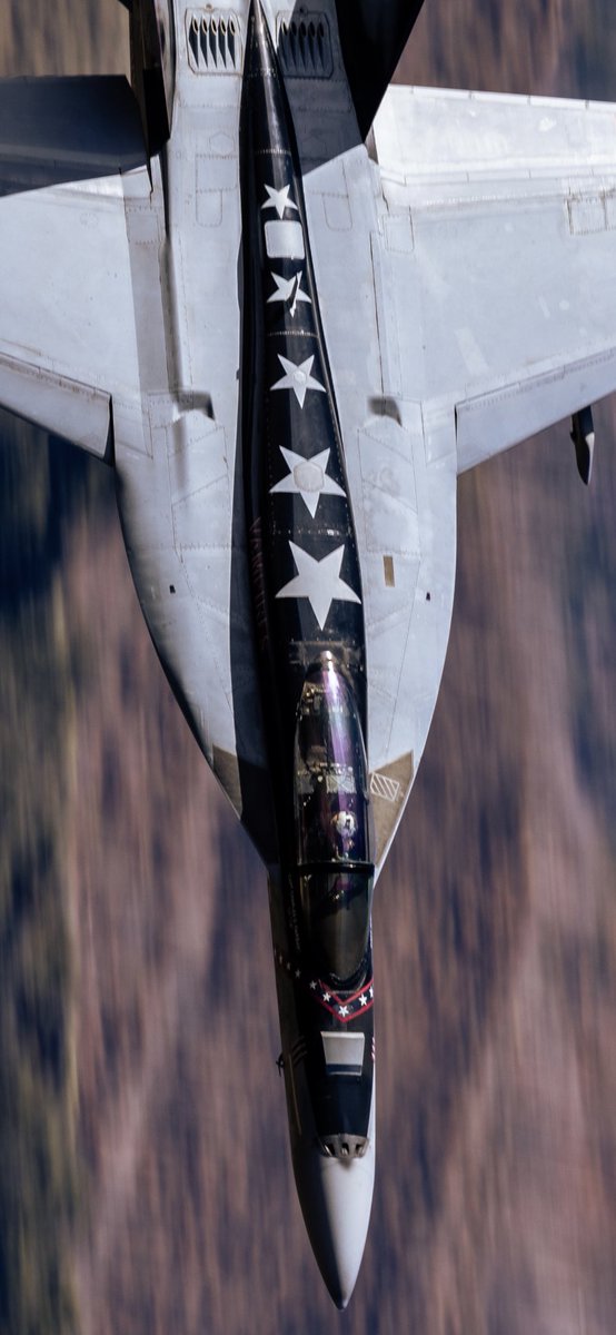 JarodMHamilton's tweet image. First time catching this VX9 vampire. 

#f18 #vx9vampires #triplesticks