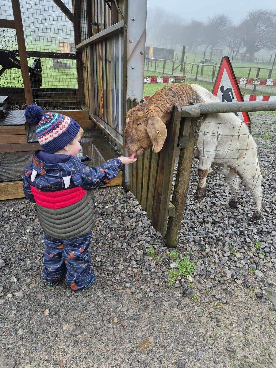 rachel1981x's tweet photo. @allsaintsps thank you for such a lovely school trip to see Father Christmas at the farm this week 🎅 🚜 and to Mrs Boffy (nursery) for Caleb's "make and buy" items for the School Fayre #christmascake #candlelantern 🎂🕯xx https://t.co/ocPtWlV2G2