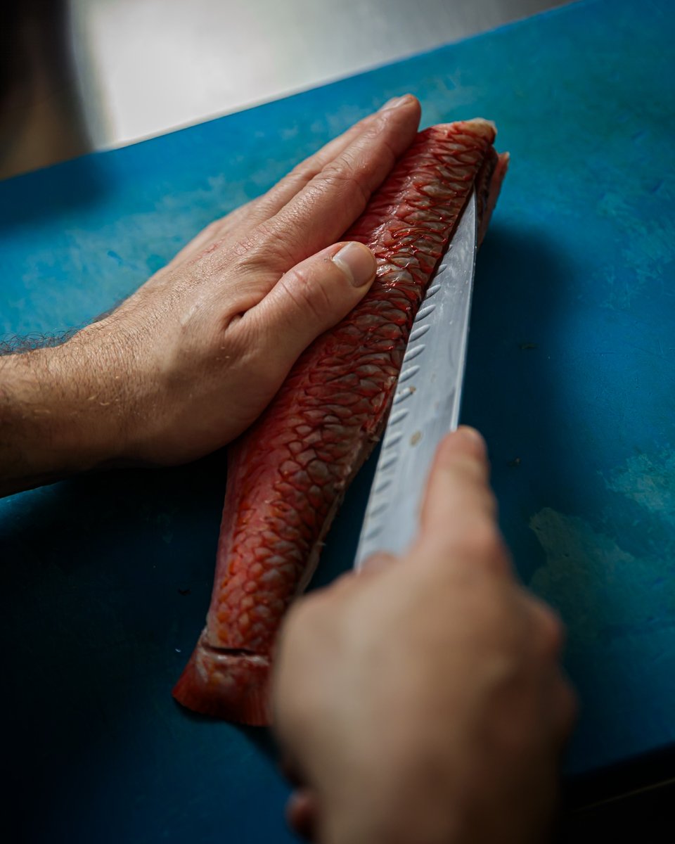 restsimpar's tweet photo. Estar sujetos al mercado es una lección de gratitud. Depender de lo que nos traen nuestros pescadores significa apreciar lo cíclico, lo único y lo efímero.

➡️ https://t.co/XryCTth1qS

#restaurantesimpar https://t.co/b81ElGvBwK