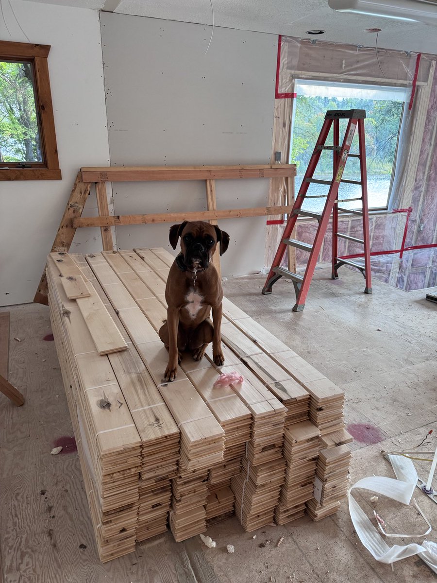 My little helper