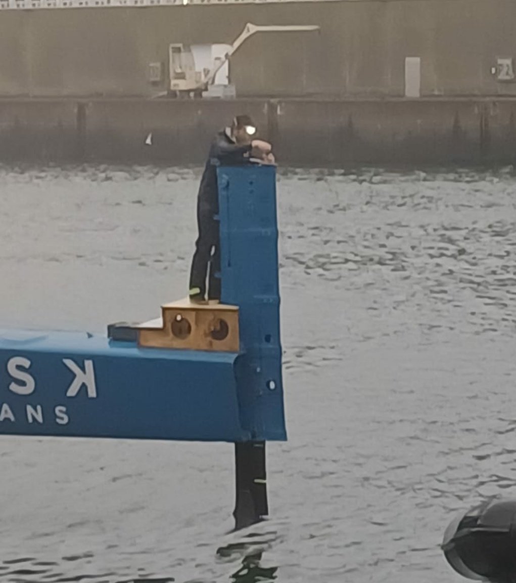 UltimBoat's tweet image. #Ultime #Ultim #PitStop
Toute l'équipe est à pied d'oeuvre à Concarneau  pour que le SVR Lazartigue soit à 100 % de ses capacités pour pouvoir se remettre en stand-by, pour une nouvelle tentative sur le  record du Trophée Jules Verne 
Photos : gwen_29sud