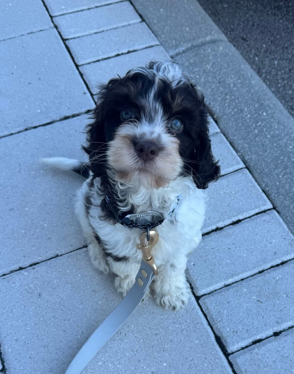 Lauren Kreidler tweet media