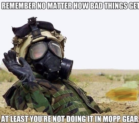 TonytheTiger57 tweet media