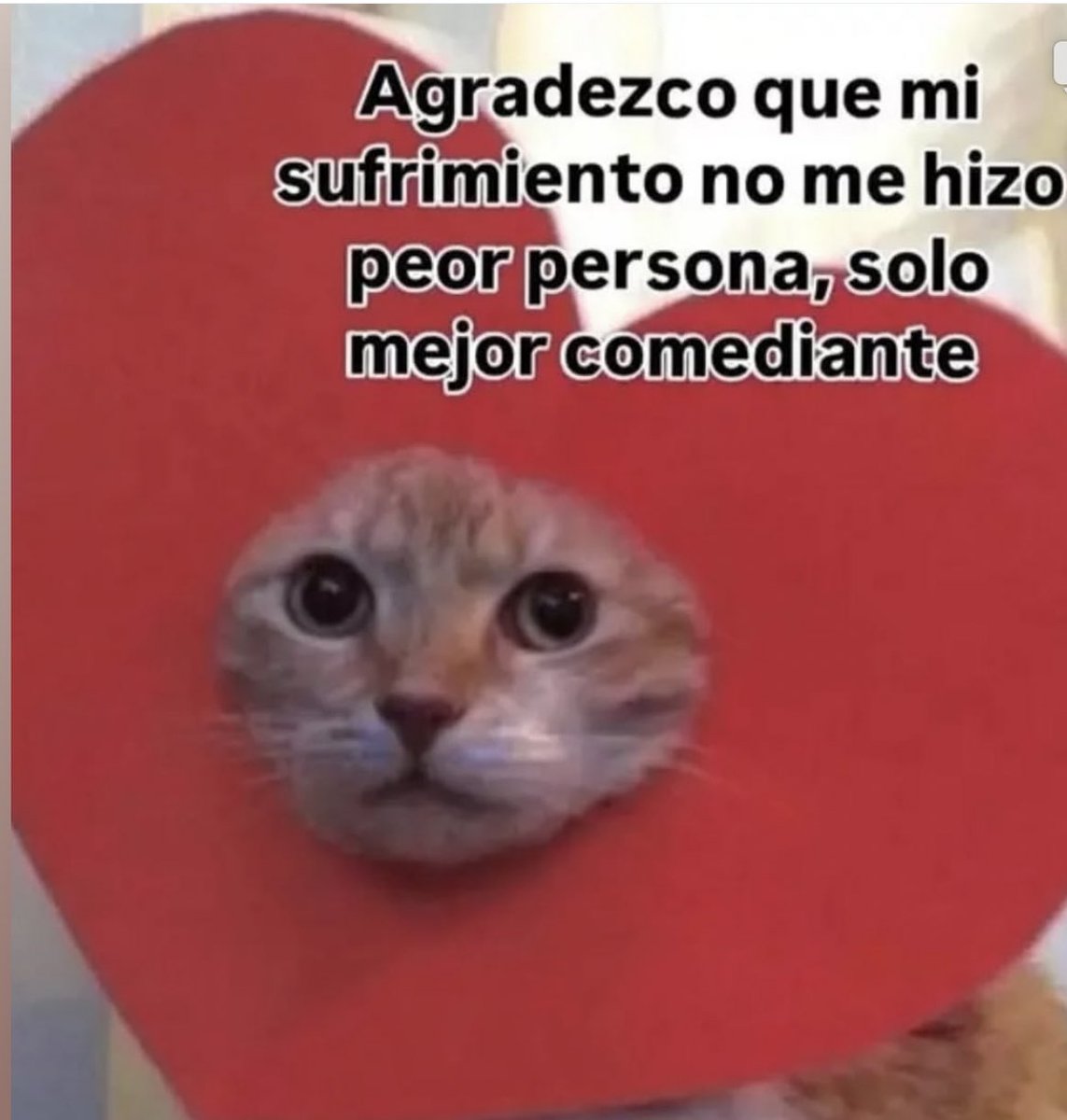 Divague (@divaguedeldia) on Twitter photo 