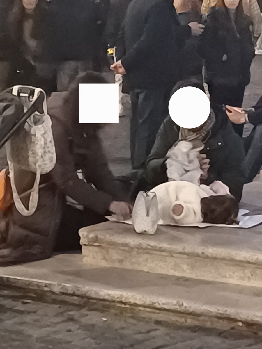 Barbara Marcotulli tweet media