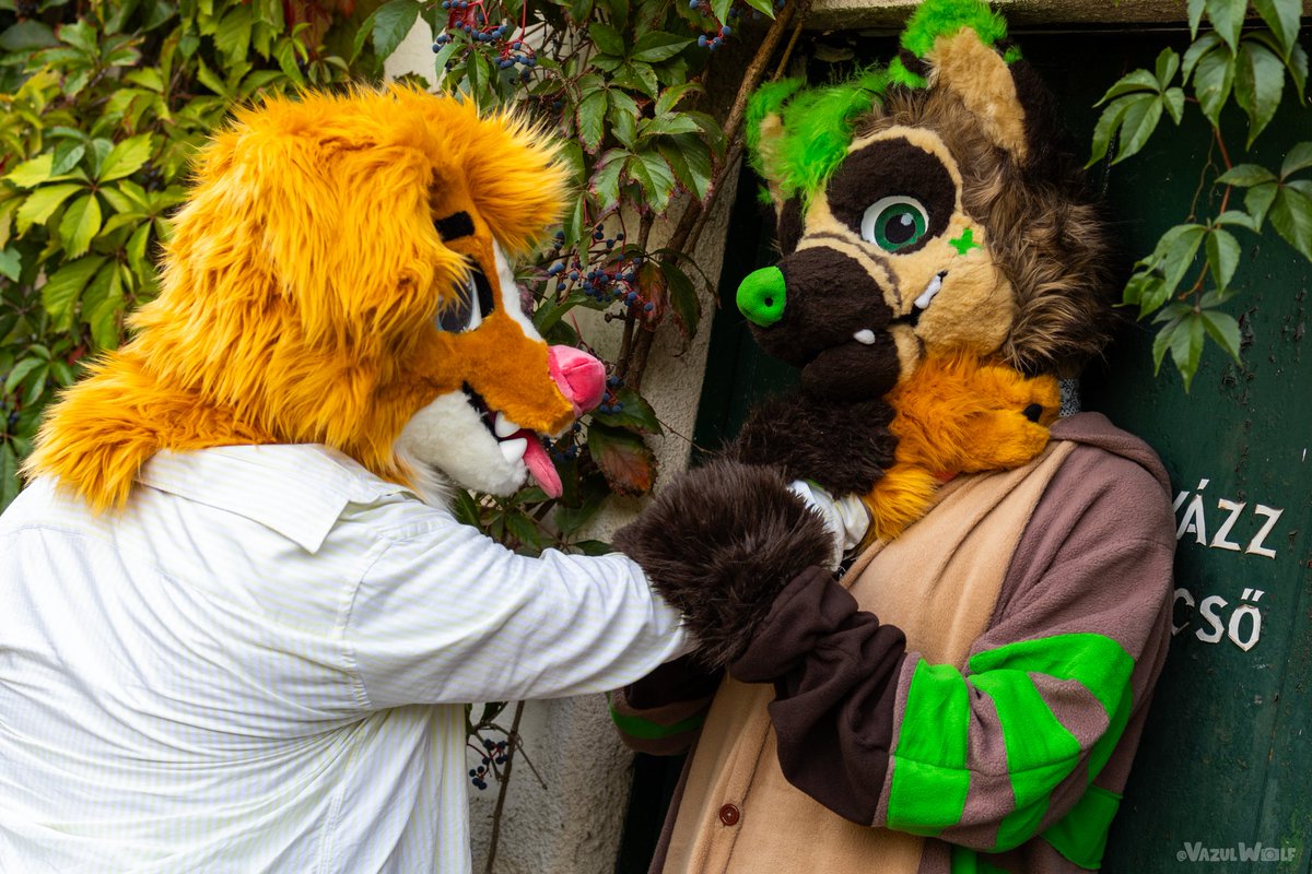 daren_cheng's tweet photo. I guess, throwing his ball over the fence...was not a good idea 😅
#FursuitFriday #fursuit #furries

🐶: @Rexxehboo 
📷: @VazulWolf https://t.co/qm0S7Gv6d5