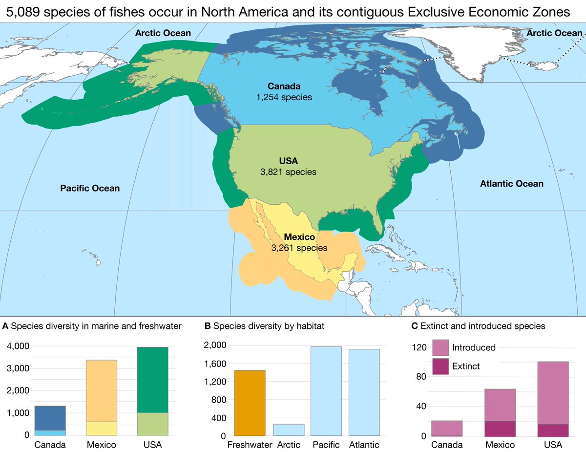 IchsAndHerps's tweet photo. How Many Fish Species Are in North America? 

by Schmitter-Soto, Bemis, Dowling, Espinosa-Pérez, Findley, Gilbert, Hartel, Lea, Mandrak, Neighbors, Walker Jr., and Page.

Open Access DOI link: https://t.co/hsLV0gRVY4 https://t.co/ky3cBY3WuM