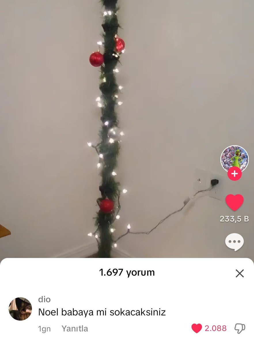 Tuşnazgül Süslüman🏳️‍🌈 (@tsnzzzgl) on Twitter photo 