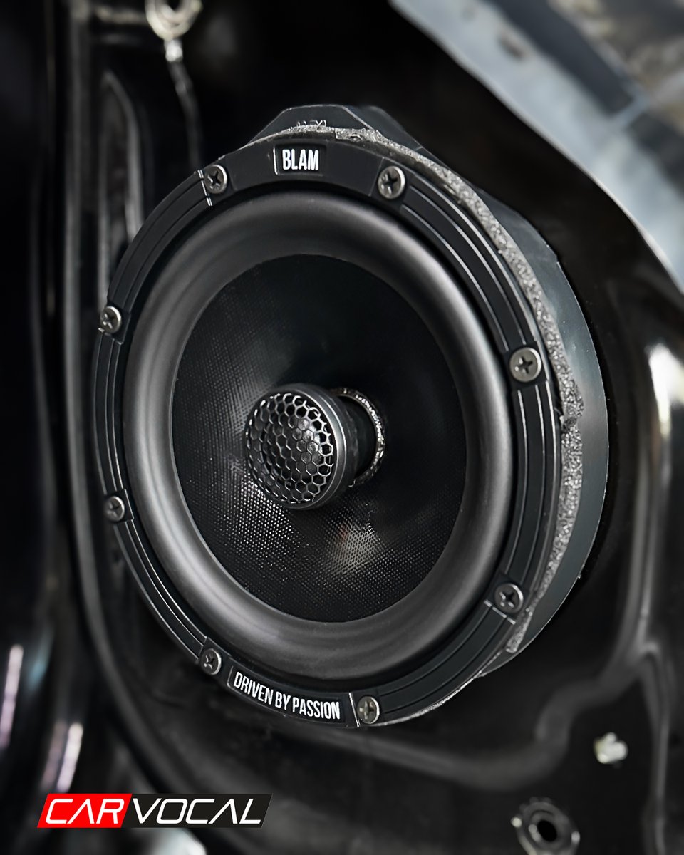 Carvocal tweet media