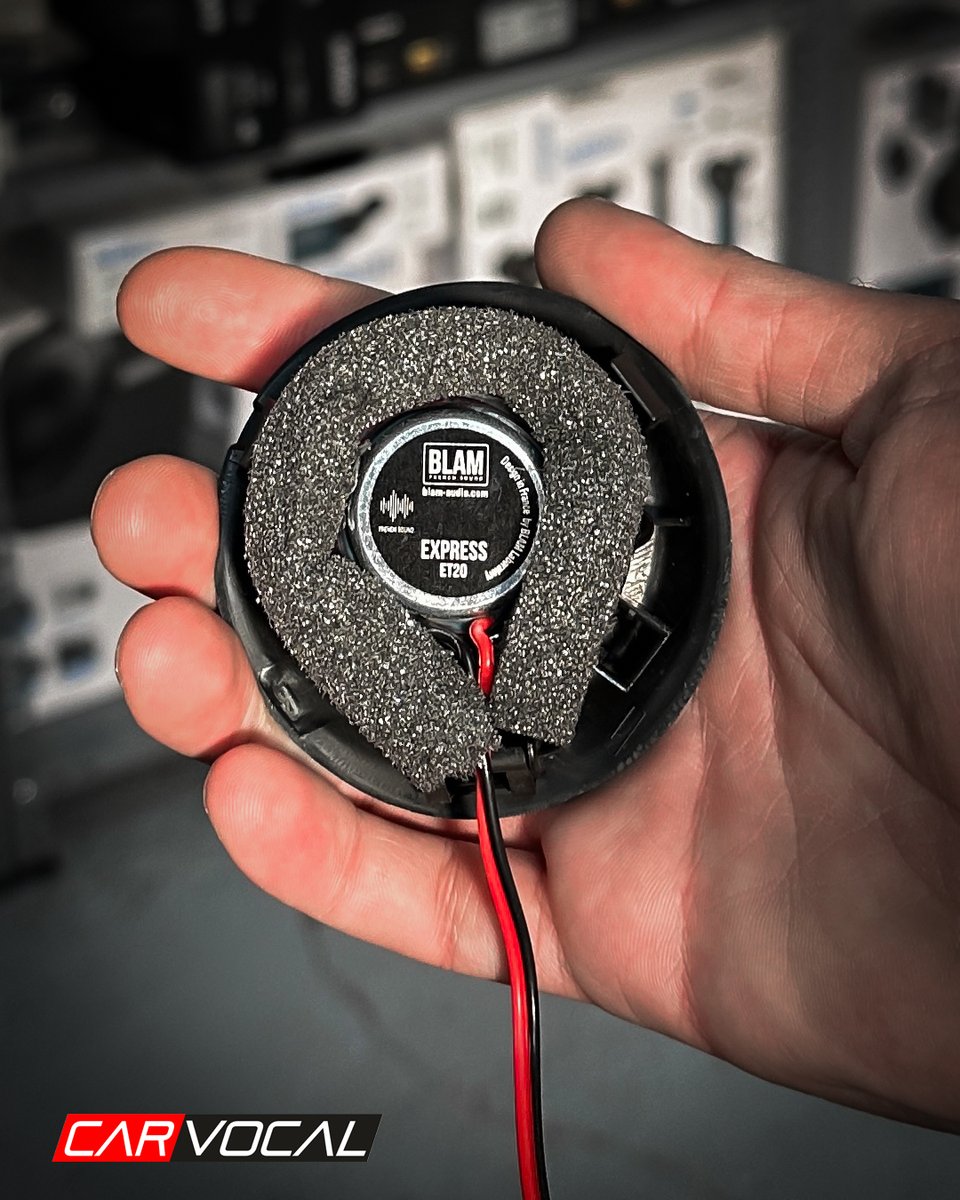 Carvocal tweet media