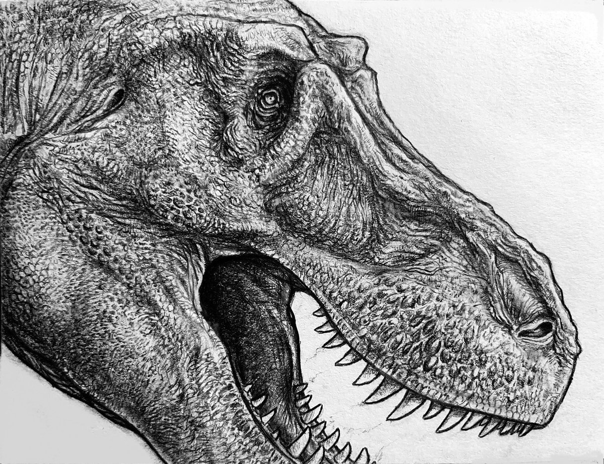 Tyrannosaurus rex