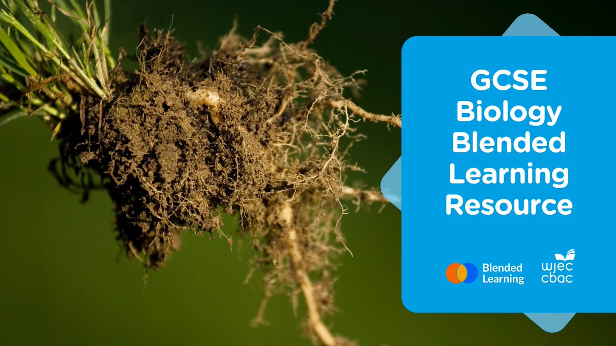 This blended learning resource contains interactive self-study content covering Unit 1.5: Plants and photosynthesis.

The resource is designed to complement traditional face-to-face teaching with an online learning pack.

resources.wjec.co.uk/Pages/Resource…
 
#GCSE #Biology #Unit1