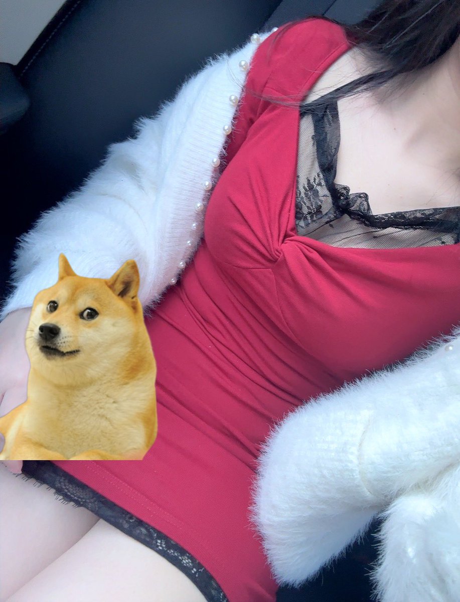 #doge 我的大狗 生日快乐🎂🎂 穿红色裙子庆祝一下
抽100油✖️10人分
关注<a href="/anyaoyaoa/">俺瑶瑶a 💢</a> 点赞转发
评论：祝doge生日快乐🎂