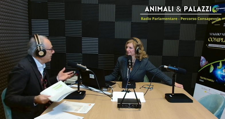 Radio Parlamentare (@rparlamentare) on Twitter photo ANIMALI & PALAZZI
Speciale #riforma contro il #maltrattamentoanimali
Ne parlano <a href="/glfelicetti/">Gianluca Felicetti</a>, presidente <a href="/LAV_Italia/">LAV</a>, <a href="/CristinaTutto/">cristina del tutto</a>, direttore Radio Parlamentare-Percorso Consapevole, con <a href="/CiroMaschio/">ciro maschio</a>, <a href="/AleCaramiello/">Alessandro Caramiello</a>, <a href="/DevisDori/">Devis Dori</a>
Link video ➡️ bit.ly/3ZEAwNz ANIMALI & PALAZZI
Speciale #riforma contro il #maltrattamentoanimali
Ne parlano <a href="/glfelicetti/">Gianluca Felicetti</a>, presidente <a href="/LAV_Italia/">LAV</a>, <a href="/CristinaTutto/">cristina del tutto</a>, direttore Radio Parlamentare-Percorso Consapevole, con <a href="/CiroMaschio/">ciro maschio</a>, <a href="/AleCaramiello/">Alessandro Caramiello</a>, <a href="/DevisDori/">Devis Dori</a>
Link video ➡️ bit.ly/3ZEAwNz