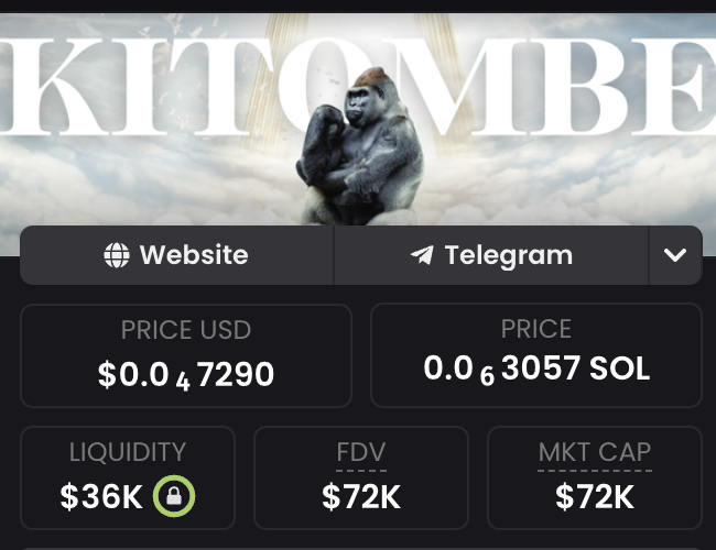 gramfoliosol's tweet photo. @SolanaPlays my eye is on #kitombe today

viral gorilla, under 100k market cap, I think could be a sender 

DWhYimfiHTdvx86Ew28ewQ5Lbo6vevtCbyDnvaAGpump https://t.co/9Rt6hA3oKz