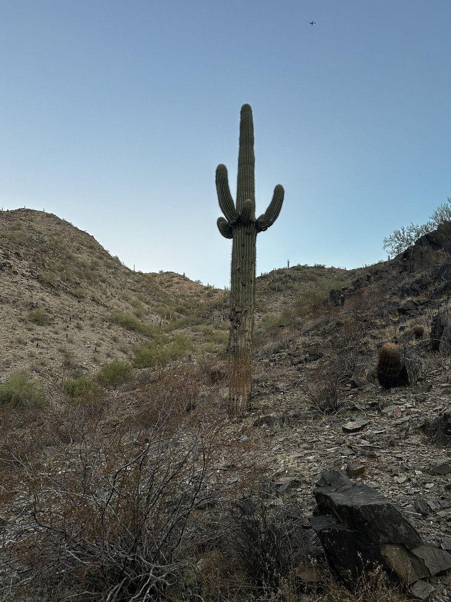 Melvin J. Brown, Ed.D. tweet media