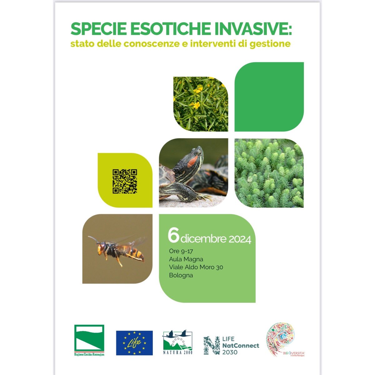 lifeclaw's tweet photo. Oggi il Consorzio di Bonifica di Piacenza ha portato l’esperienza del progetto LIFE CLAW in Regione Emilia Romagna. 
Un importante momento di networking sullo stato delle conoscenze e gli interventi di gestione delle specie esotiche invasive animali e vegetali. https://t.co/wPLyCmHVov