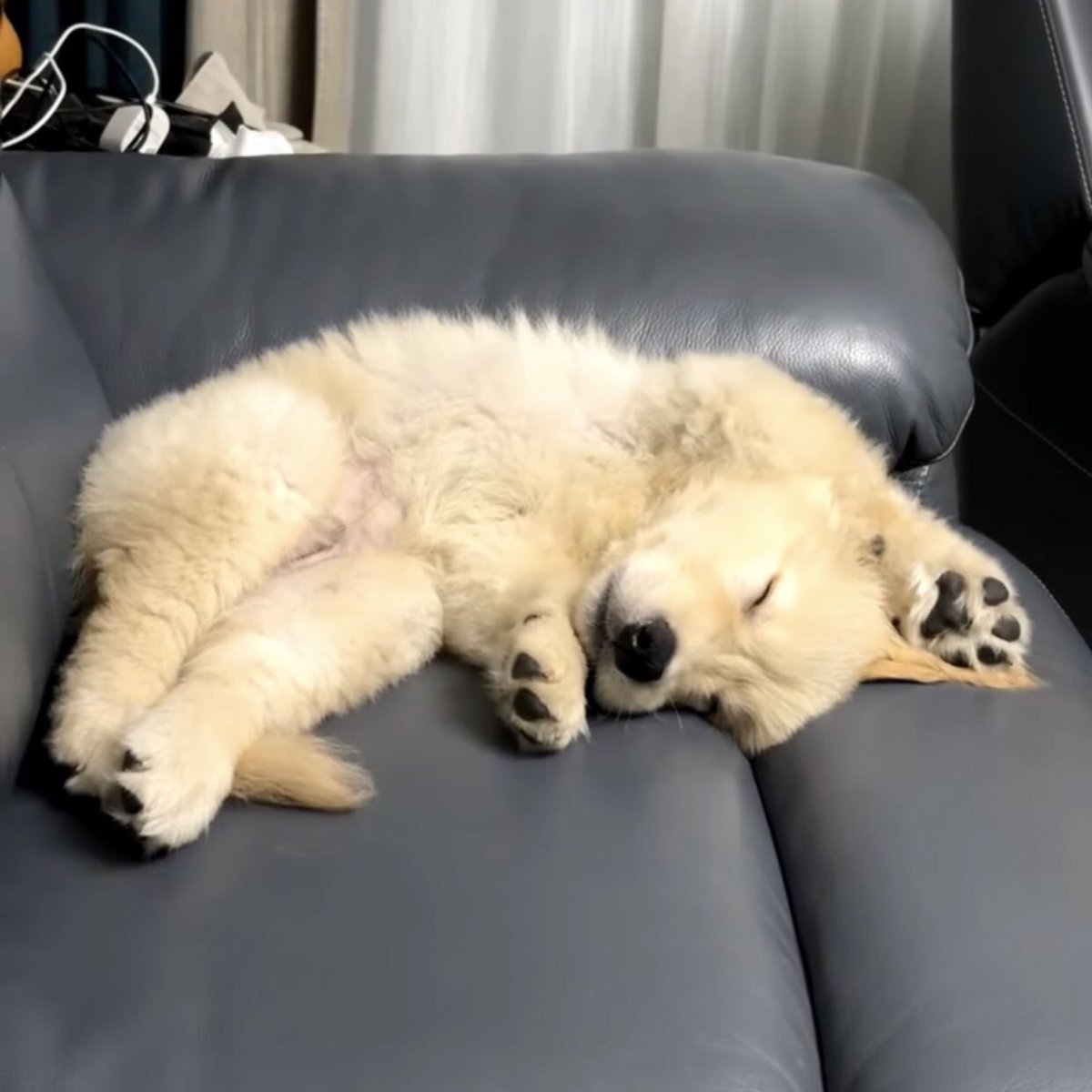 รอด้าย ไม่ง่วงคั้บ เทอตามสบายเลย