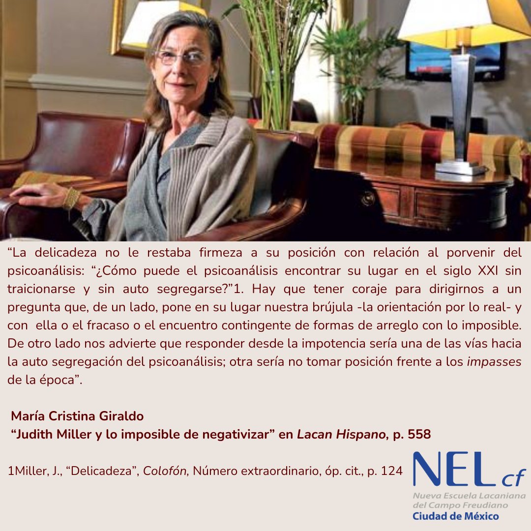 NELcf Sección Ciudad de México tweet media