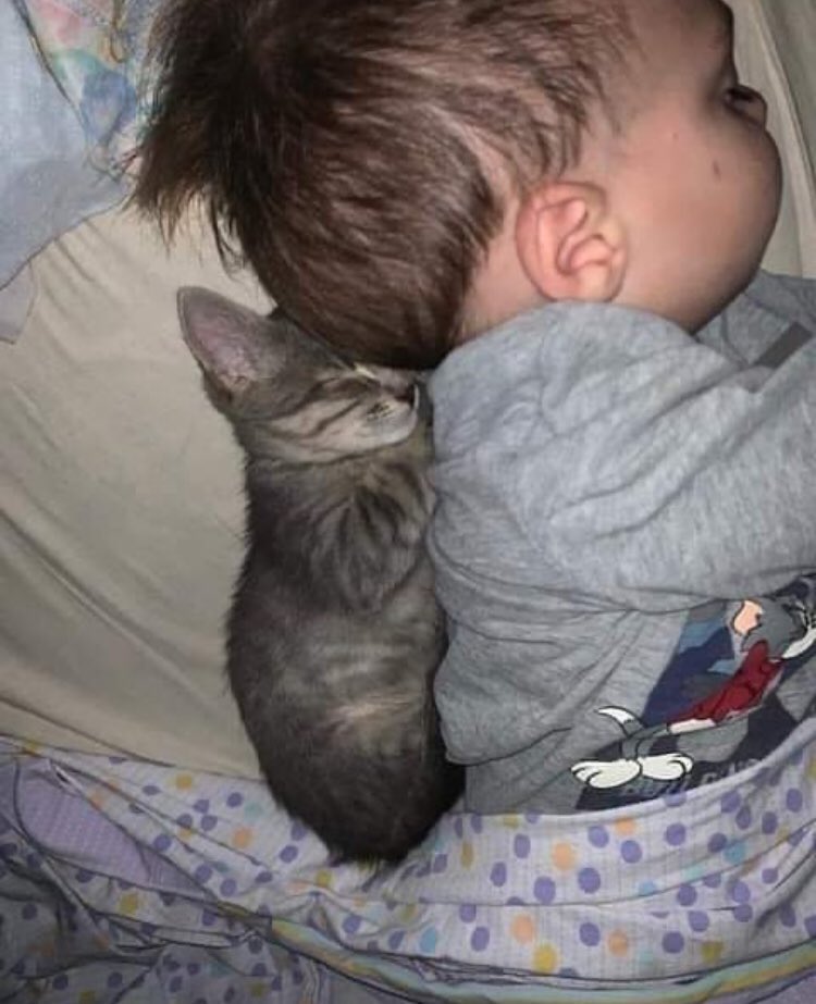 TheCatsX's tweet photo. Baby with baby https://t.co/yxy8vPNq0Z
