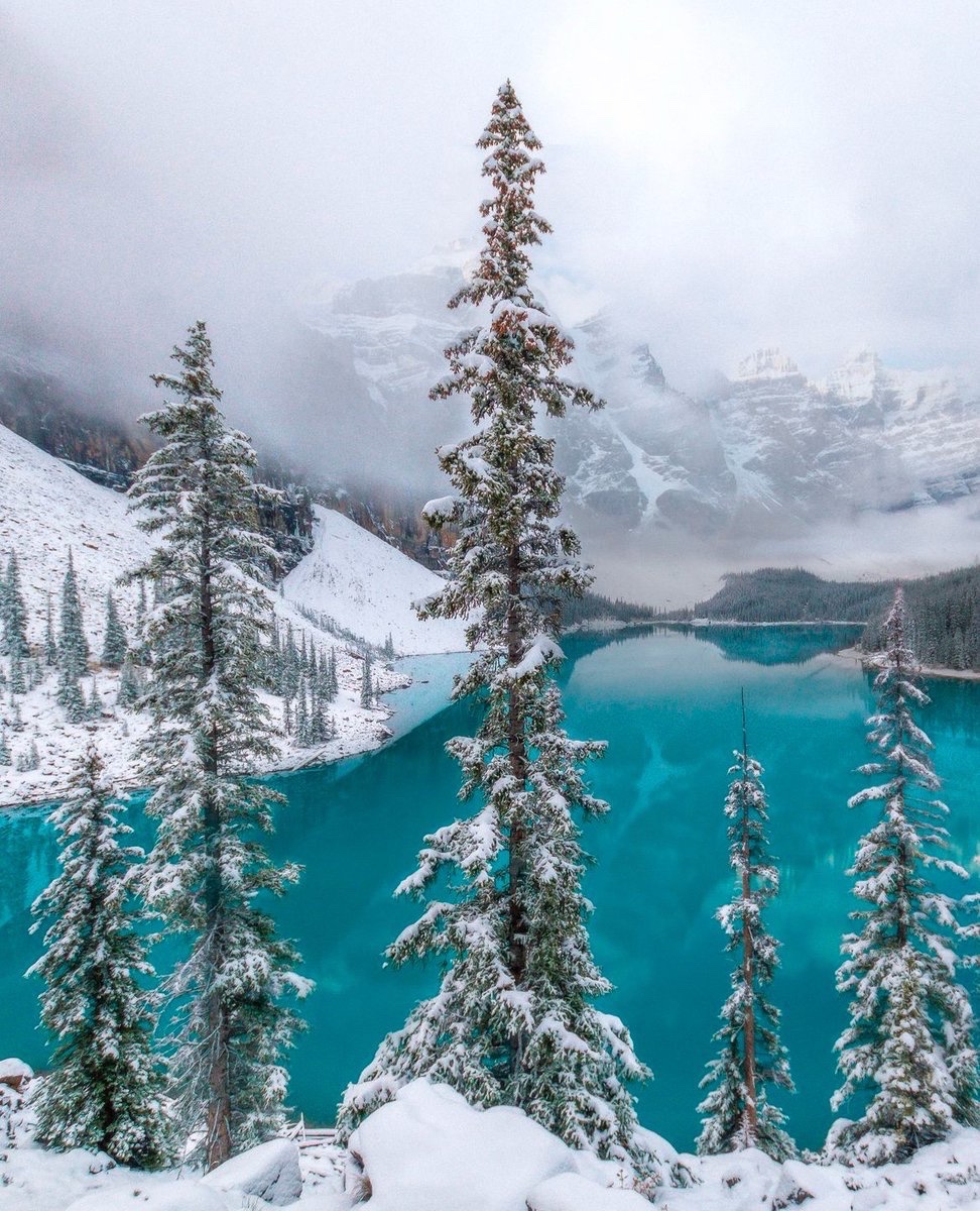 Alberta, Canada ❄️