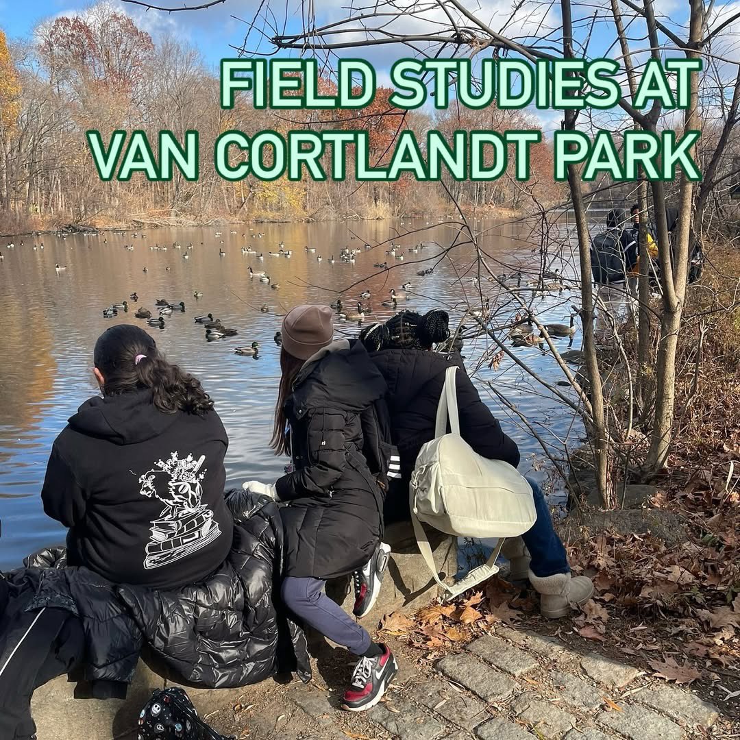CIOBCitywide's tweet photo. During Field Studies this week, @LyonsBklyn 8th graders investigated the health of the forest ecosystem at Mill Pond in Van Cortlandt Park. They discovered aquatic invertebrates, including Damselfly and Dragonfly Nymphs. A hands-on learning experience! #FieldStudies @NYCSchools https://t.co/mt44YkIgKE