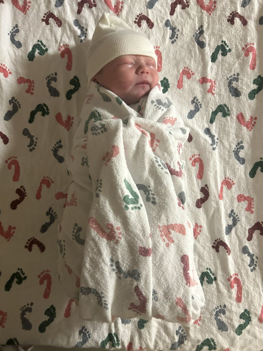 The Investments Lawyer (Michael Huseby) tweet media