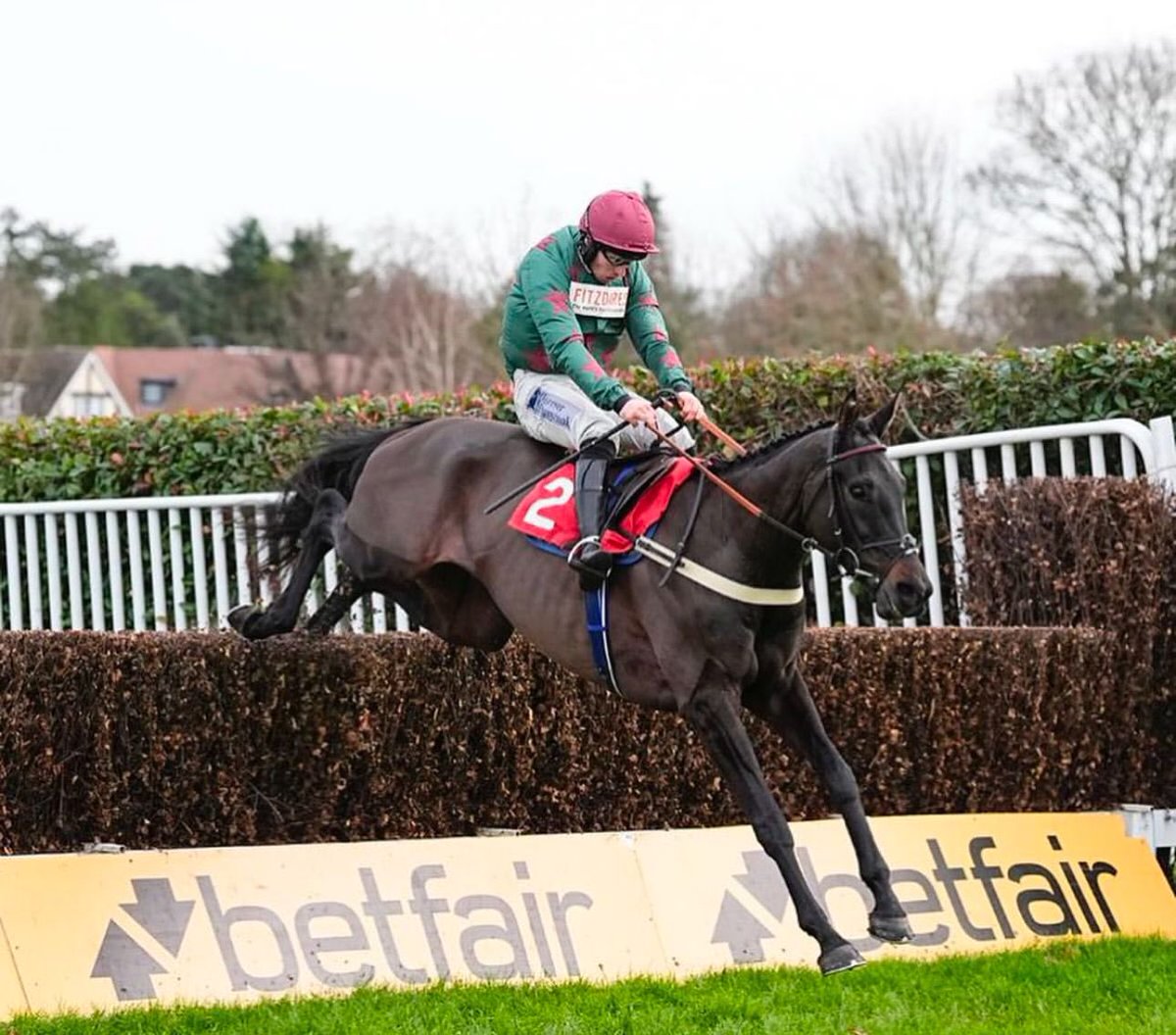 Ben Pauling Racing tweet media