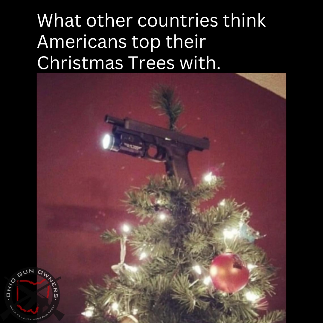 OhioGunOwners's tweet image. Because we can 😎 #defendthesecond