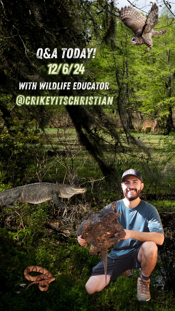 Running a Q&amp;A on my Instagram today! Come on by with any wildlife or paleontology questions! 🐢🦕