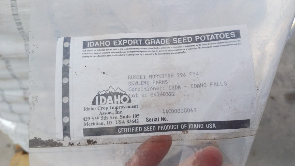 alertanoti's tweet photo. EL SALVADOR INCORPORA NUEVAS VARIEDADES DE PAPA CERTIFICADA PARA FORTALECER SU PRODUCCIÓN

El ministro de Agricultura, Óscar Domínguez, anunció la llegada de semillas certificadas de papa Cal White y Russet provenientes de Estados Unidos, marcando un nuevo hito en la producción agrícola de El Salvador. 

Estas variedades se integrarán al semillero ubicado en Chalatenango, con el objetivo de ampliar las áreas de cultivo y aumentar la producción nacional.

“Por cada cosecha, duplicaremos la cantidad de manzanas a cultivar”, señaló el ministro en sus redes sociales, destacando que ambas variedades cumplen con las exigencias del paladar salvadoreño. 

Este esfuerzo refuerza la estrategia del Gobierno para garantizar la seguridad alimentaria y diversificar la oferta de productos agrícolas de calidad en el país.