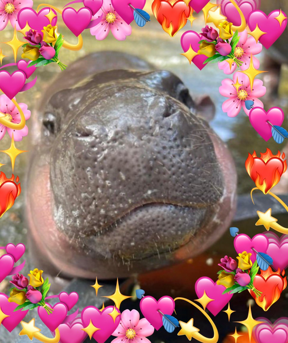 When you hit that follow button this is who you're following