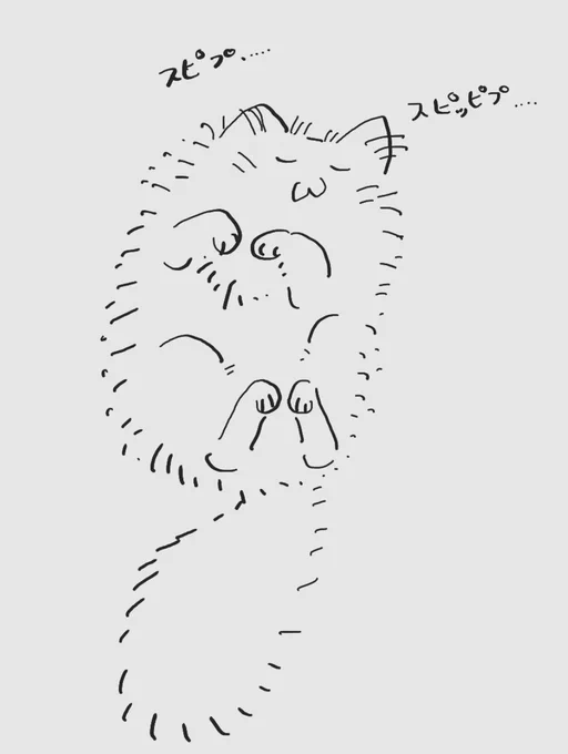 冬毛でモッコモコだからそのへんで夏のように転がって寝る寒さにつよいねこ 