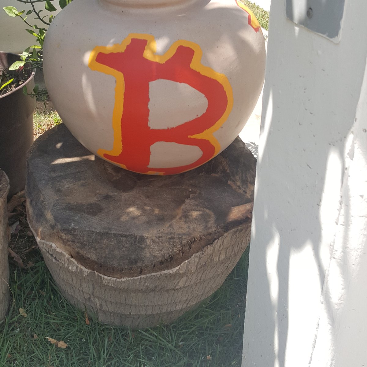 WhoIsNFT's tweet photo. I planted #bitcoin a fews years ago, and now it is bearing fruit. $BTC #BitcoinEquity #BitcoinLove https://t.co/K5dvoJfUHR