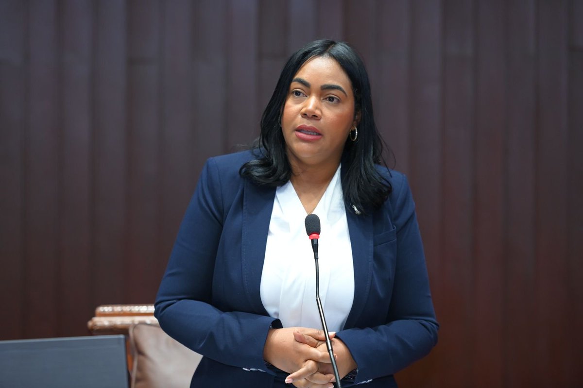 Cámara de Diputados de la República Dominicana tweet media