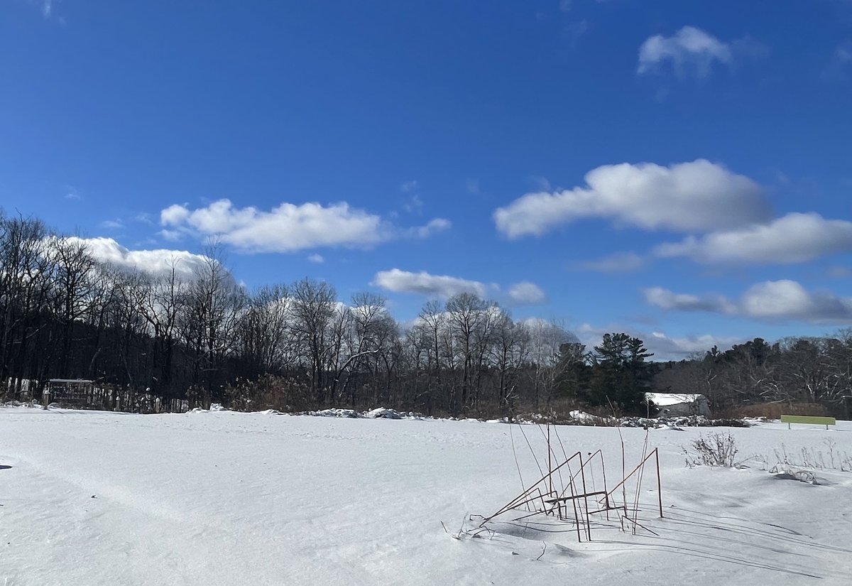 Winter is here on the hill! Along with the snow, we are readying for our first Wintertide Rustic Retreat residents to arrive... one of our favorite times of the year! Interested?  Email residency@millayarts.org.  (Bring your snowshoes!)