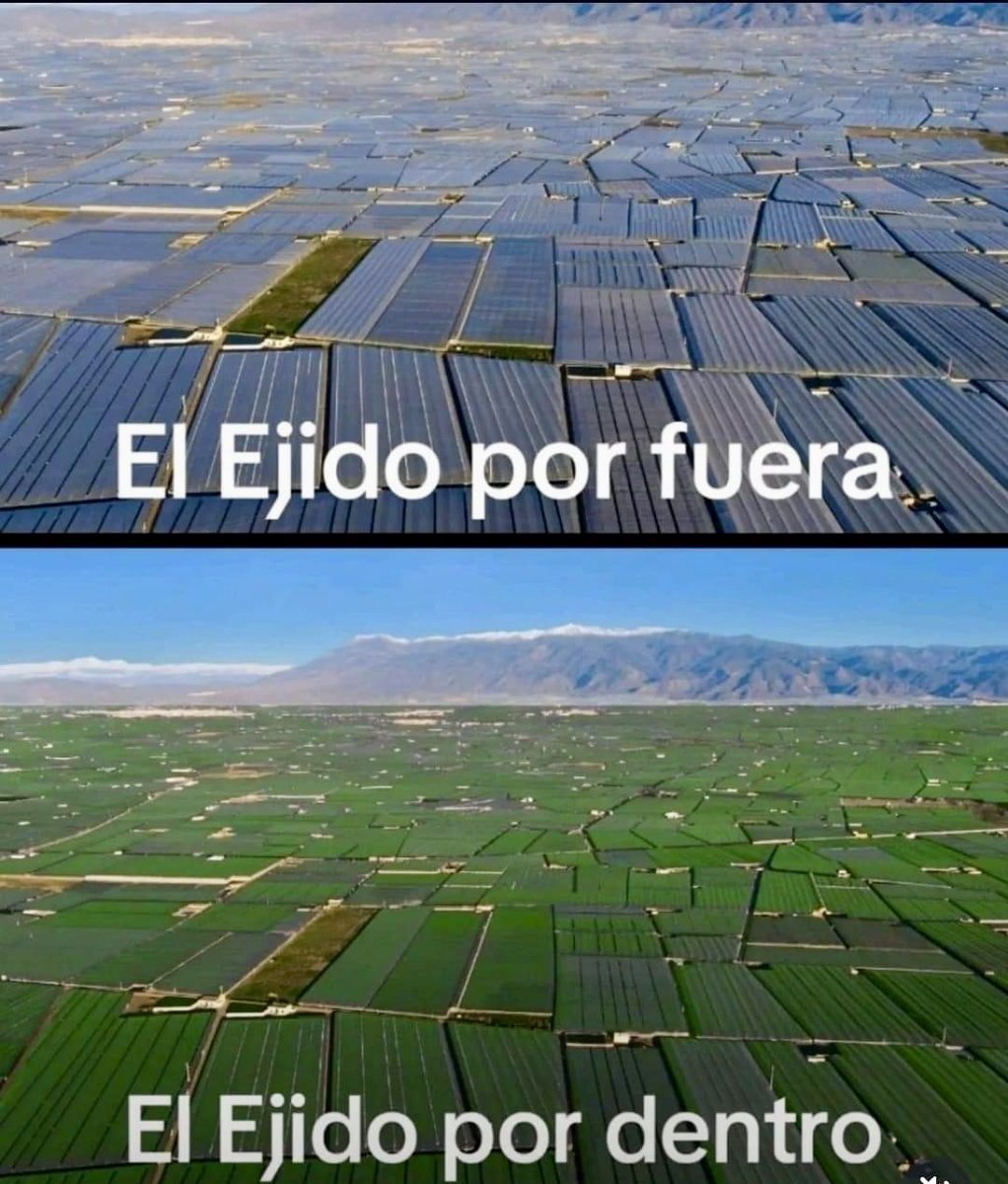 diegoluisvalera's tweet photo. 🌱Una imagen distinta de los invernaderos de Almería🌱 https://t.co/B7gWnS2aBx