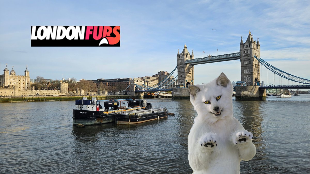 BerkWolf's tweet photo. #WölfleOnTour at #LondonFurs
🦊 #Krampuss #Winter #Weekender
🎩 @LondonFurs
🗓 Fri = #Boatparty at #Thames
🗓 Sat = Big Party @tankandpaddle
🏙 #London 🇬🇧
🐺 You found me as @witlupus
#LFWP #LFWP2024 #fursuit #Furry #Wolf #Berk
Follow my Berk-News (TG)
https://t.co/AIwKf2hgax https://t.co/BssnN8eQXj