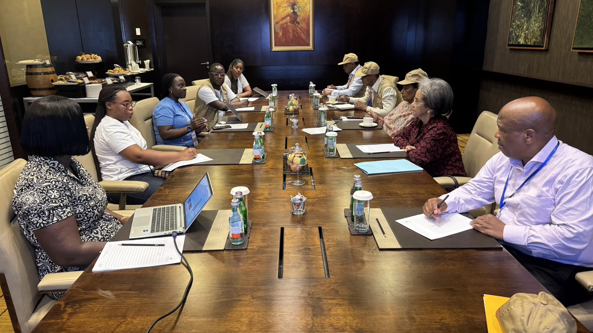 African Union Political Affairs Peace and Security tweet media