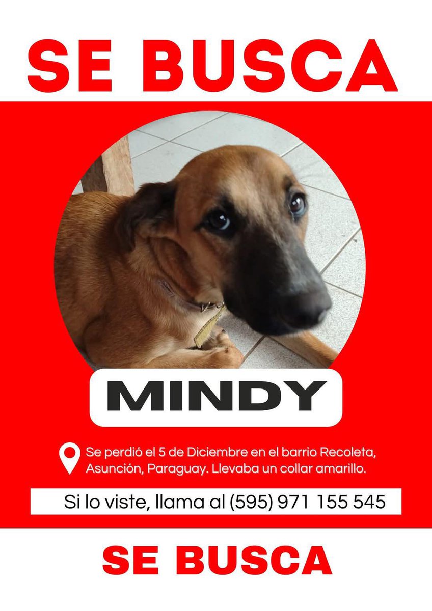MarcoHuellasPy's tweet photo. Se busca a Mindy ‼️ ayuda con RP 🙏 https://t.co/cS1DoXr68d