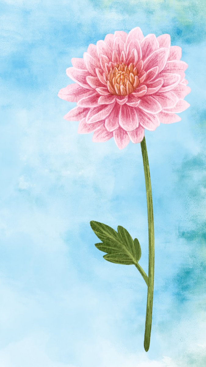 recthrpy's tweet photo. #eye4flowers #flowersofig #plantstem #flowersandotherstories #ihavethisthingwithflowers #flowers #colorful #photographer #photography #naturephotography #naturelovers #naturelover #purpleflowers #flowersmakemehappy #floralart #watercolorflowers #flowersoftheday https://t.co/9VL8d3QDWa