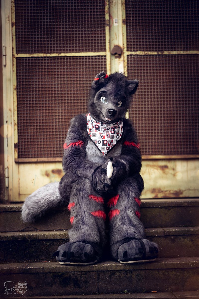 Karex (@karex_wolf) on Twitter photo Happy #fursuitfriday π
π·: <a href="/xferoxy/">Ferox β¨ π EAST</a>π
πΊ: me
#fursuiting #fursuits #fursuitphotography #fursuitwalk Happy #fursuitfriday π
π·: <a href="/xferoxy/">Ferox β¨ π EAST</a>π
πΊ: me
#fursuiting #fursuits #fursuitphotography #fursuitwalk