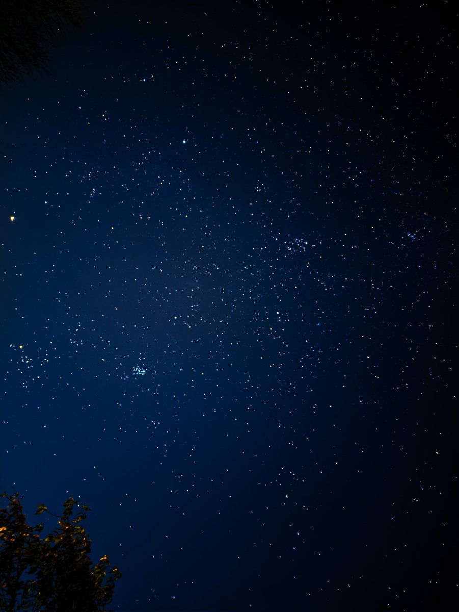 Space 8K tweet media