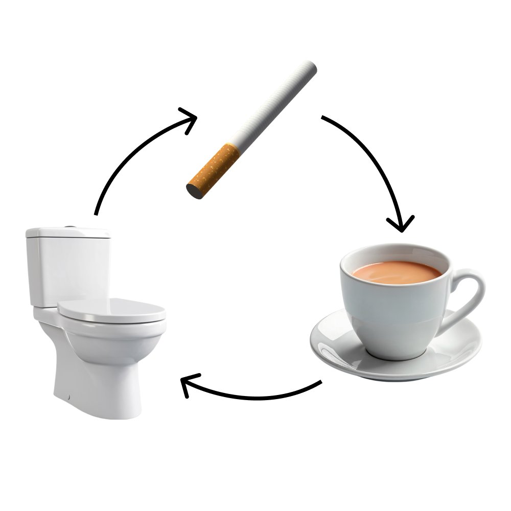 RITUAL_SOL's tweet photo. @bane_sol $RITUAL 

🚬+☕️=🚽 https://t.co/6BN7jMqn1X