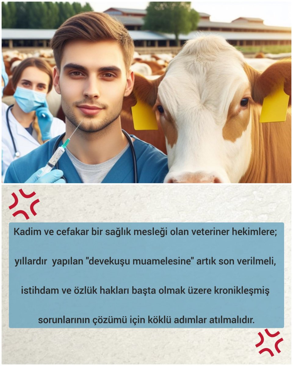 vetcetas's tweet photo. Kadim ve cefakar bir sağlık mesleği olan veteriner hekimlere; yıllardır yapılan "devekuşu muamelesine" artık son verilmeli, istihdam ve özlük hakları başta olmak üzere kronikleşmiş sorunlarının çözümü için köklü adımlar ivedilikle atılmalıdır.

#VeterinerHekimler3000Atamaİstiyor https://t.co/NuBTYqohZS