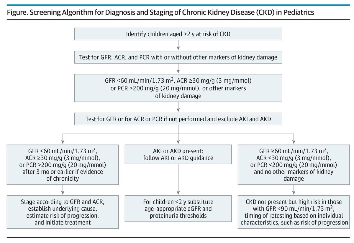 JAMA Pediatrics (@jamapediatrics) on Twitter photo The 2024 KDIGO update provides pediatricians with guidance on evaluating and managing chronic kidney disease (CKD) in children, including diagnosis, workup and management. <a href="/anna_francis1/">Anna Francis</a> ja.ma/4iqtPGg The 2024 KDIGO update provides pediatricians with guidance on evaluating and managing chronic kidney disease (CKD) in children, including diagnosis, workup and management. <a href="/anna_francis1/">Anna Francis</a> ja.ma/4iqtPGg